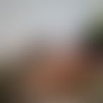 Elle_et_Lui_20 2